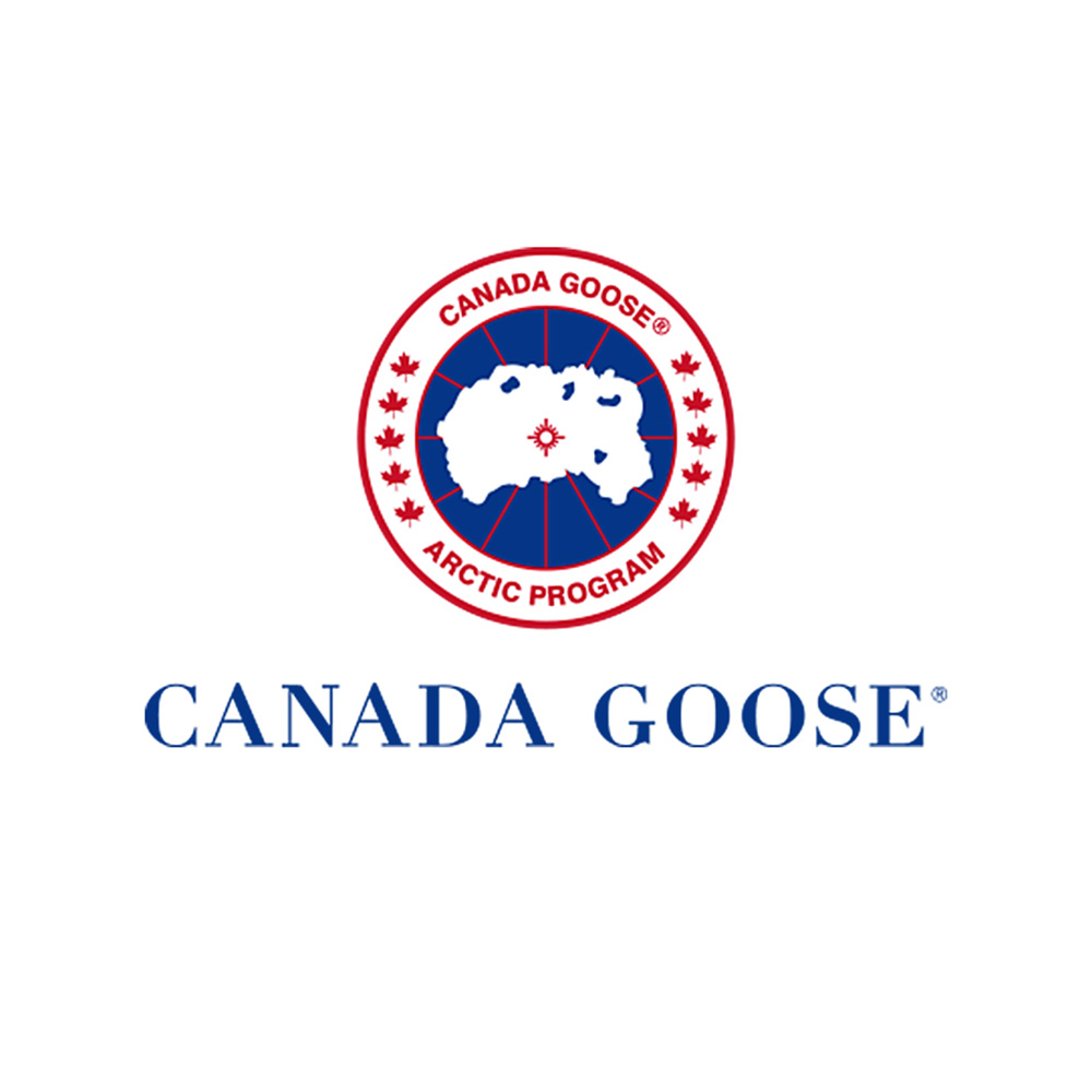 canada goose